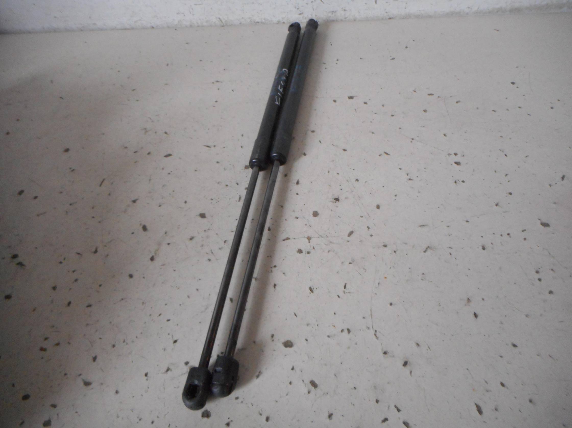 Asta ammortizzante portello post. sx.